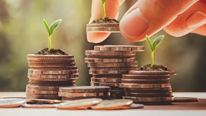 Foxhog Loans | Powered by Finko